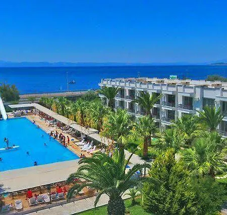 Washington 3* Ayvalı